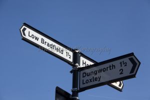 _holdsworth 8.jpg